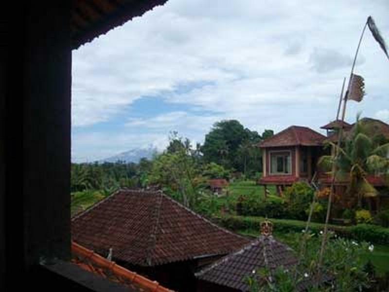 Bali Moon Guest House Ubud Exteriör bild